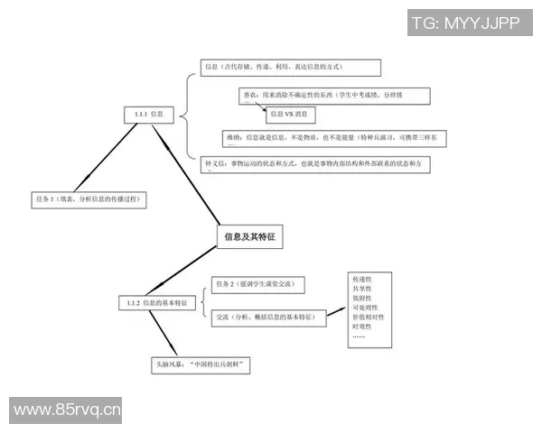 杭州极限运动队区域防守分析及其对比赛成绩的影响探讨